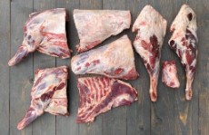  مواد پروتئینی | گوشت گوسفندی گوساله