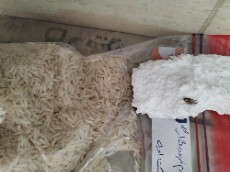  غلات | برنج طارم محلی کشت اول