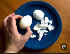  دامپروری | خوراک دام پوست تخم مرغ