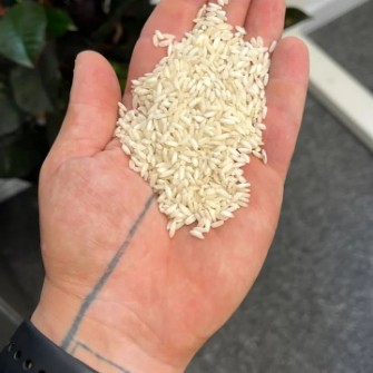  غلات | برنج برنج