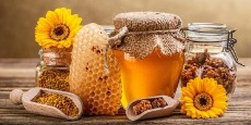  دامپروری | عسل عسل با کیفیت عالی مستقیم از زنبورداری