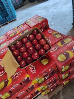  میوه | سیب سوپر لوکس صادرات