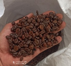  نوشیدنی | قهوه روبستا عربیکا