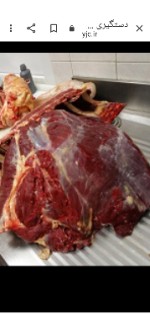  مواد پروتئینی | گوشت گاو پیر