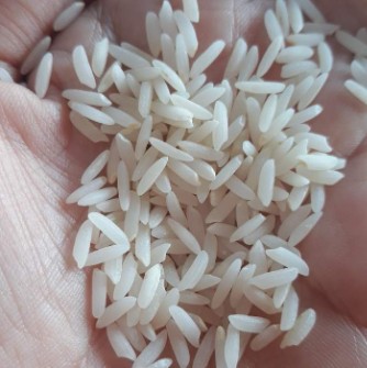  غلات | برنج طارم هاشمی بوجار شده ممتاز
