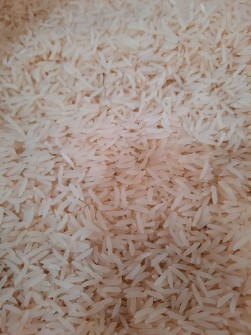  غلات | برنج فجر سوزنی