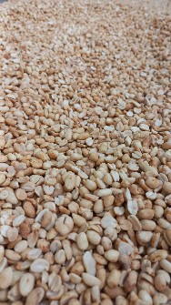  خشکبار | بادام بادام زمینی مخصوص کره گیری هندی