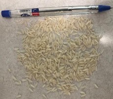  غلات | برنج برنج کشت دوم اعلاء و معطر فروش عمده