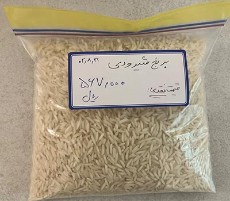  غلات | برنج برنج شیرودی فروش عمده