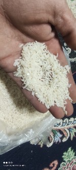  غلات | برنج برنج طارم هاشمی کلات
