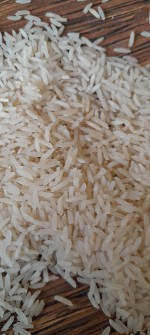  غلات | برنج طارم هاشمی صدری شیرودی
