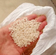  غلات | برنج برنج هاشمی درجه 1