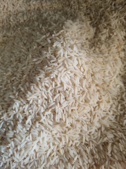  غلات | برنج هاشمی درجه یک