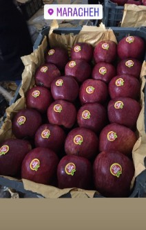  میوه | سیب سیب قرمز درجه 1مراغه صادراتی