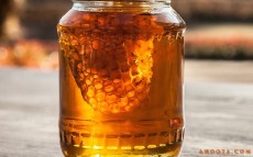  دامپروری | عسل چهل گیاه،گشنیز