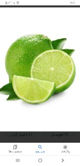  میوه | لیمو ترش لیمو خاگی