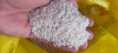  غلات | برنج عنبر بو شوشتر