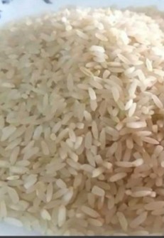  غلات | برنج برنج محلی کامفیروزی