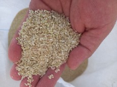  غلات | برنج نیمدانه فجرنوراباد