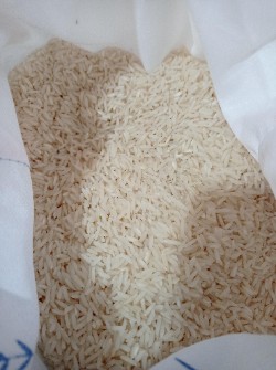  غلات | برنج هاشمی درجه‌یک