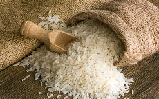  غلات | برنج هاشمی/شیرودی/فجر/ندا