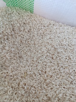  غلات | برنج برنج هاشمی عطری