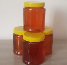  دامپروری | عسل عسل گون طبیعی سراب