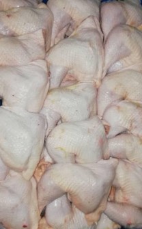  مواد پروتئینی | گوشت گوشت مرغ تازه گرم اقلام