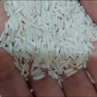  غلات | برنج برنج هاشمی درام خوش پخت فله
