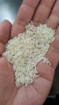  غلات | برنج برنج طارم هاشمی درجه یک