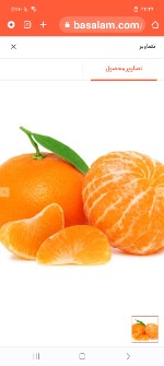  میوه | پرتقال نارنگی پیج درجه یک صادراتی