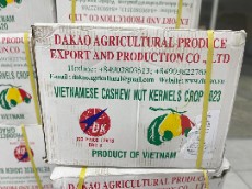  خشکبار | بادام بادام هندی ویتنام