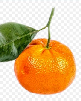  میوه | نارنگی پیچ