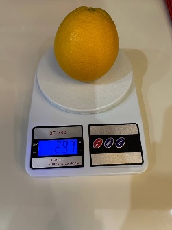  میوه | پرتقال پرتقال خونی