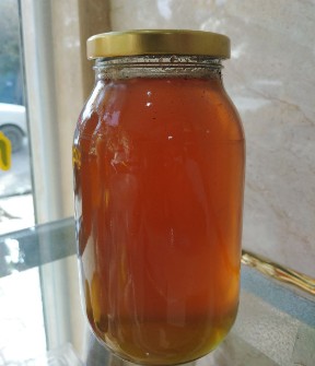  دامپروری | عسل تغذیه گون