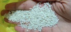  غلات | برنج عنبر بو شوشتر درجه یک