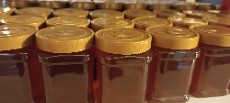  دامپروری | عسل عسل گون گز اعلا