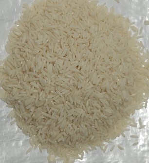  غلات | برنج هاشمی اعلاء امساله