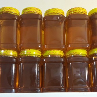  دامپروری | عسل کنار،گون،گیشنیز