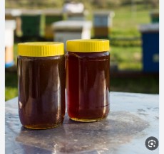  دامپروری | عسل کنار وگون و تغذیه