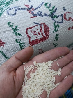  غلات | برنج هاشمی صدری