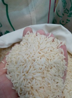  غلات | برنج هاشمی فوق ممتاز