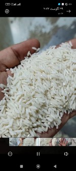  غلات | برنج برنج صدری آستانه اشرفیه درجه یک