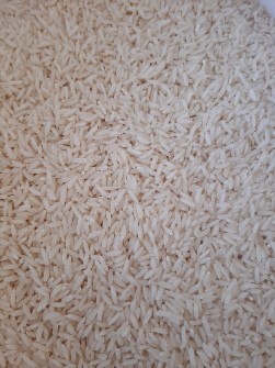 غلات | برنج برنج بی نام کشت دوم