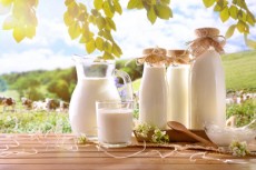  لبنیات | شیر شیر محلی