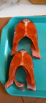  مواد پروتئینی | ماهی ماهی قزل الا سالمون