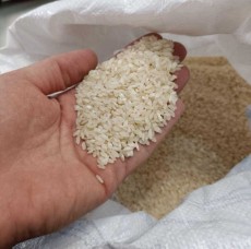  غلات | برنج برنج کامفیروزی اعلا