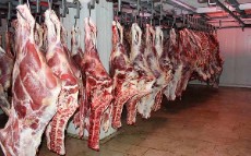  مواد پروتئینی | گوشت گوشت گوساله