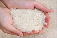  غلات | برنج هاشمی اعلا