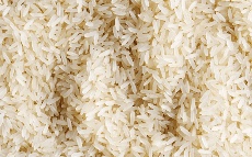  غلات | برنج فجر،هاشمی،گهر،عنبربو